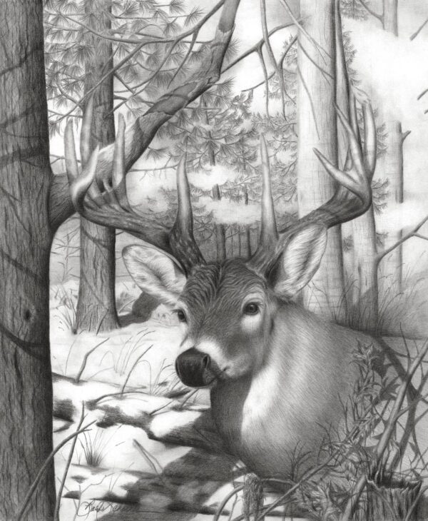“Whitetail Phantom” - Image 2