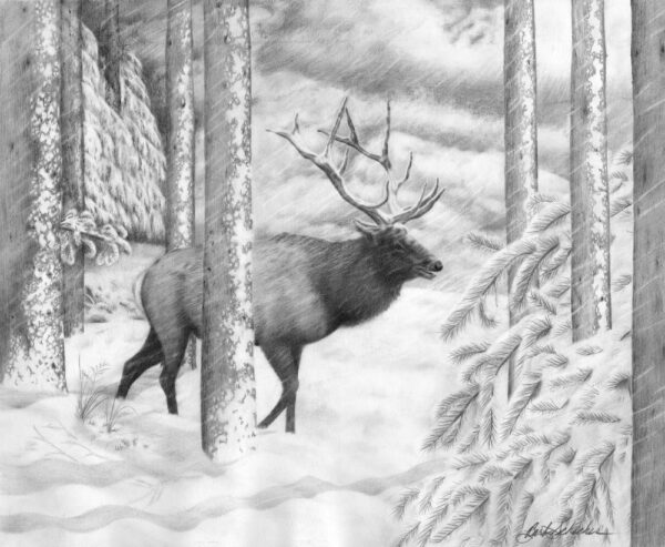 “Weathering The Storm” - Image 2