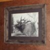 “Majestic Bull Elk”