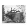 “Majestic Bull Elk” - Image 3