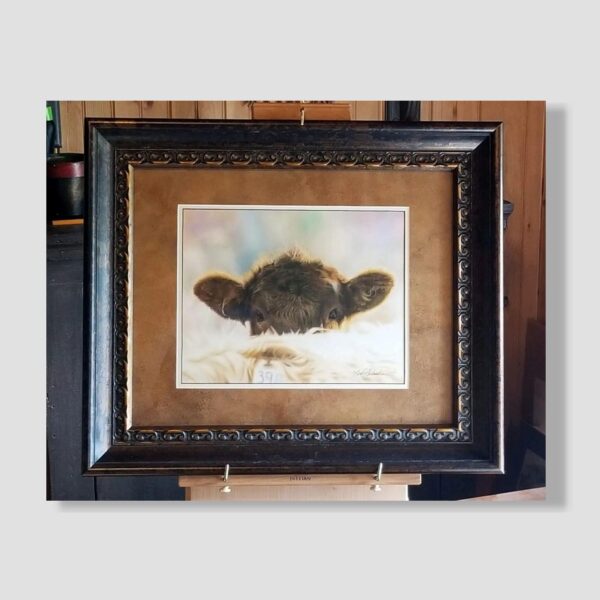 Framed Peek-A-Moo Original Pastel Painting by Barby Schacher