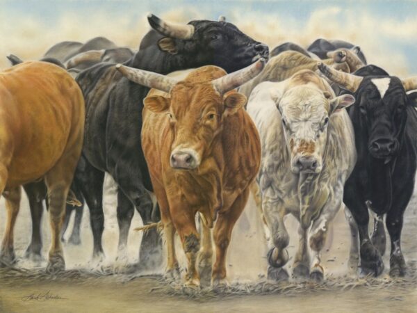 The A Team original pastel painting by Barb Schacher featuring powerful rodeo bulls kicking up dust as they swagger
