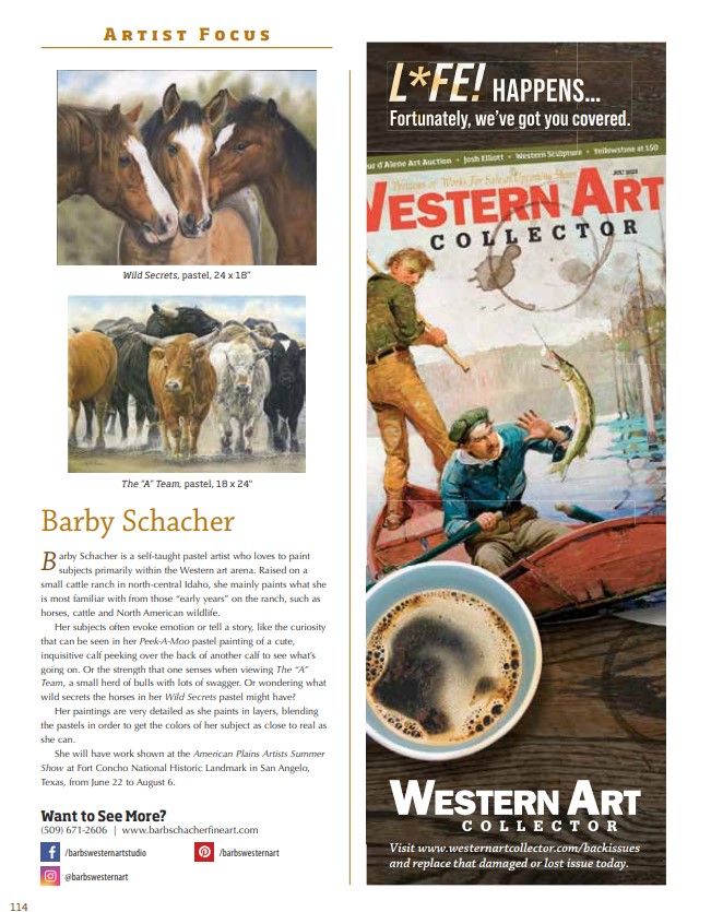 western art collector artist focus article barb schacher