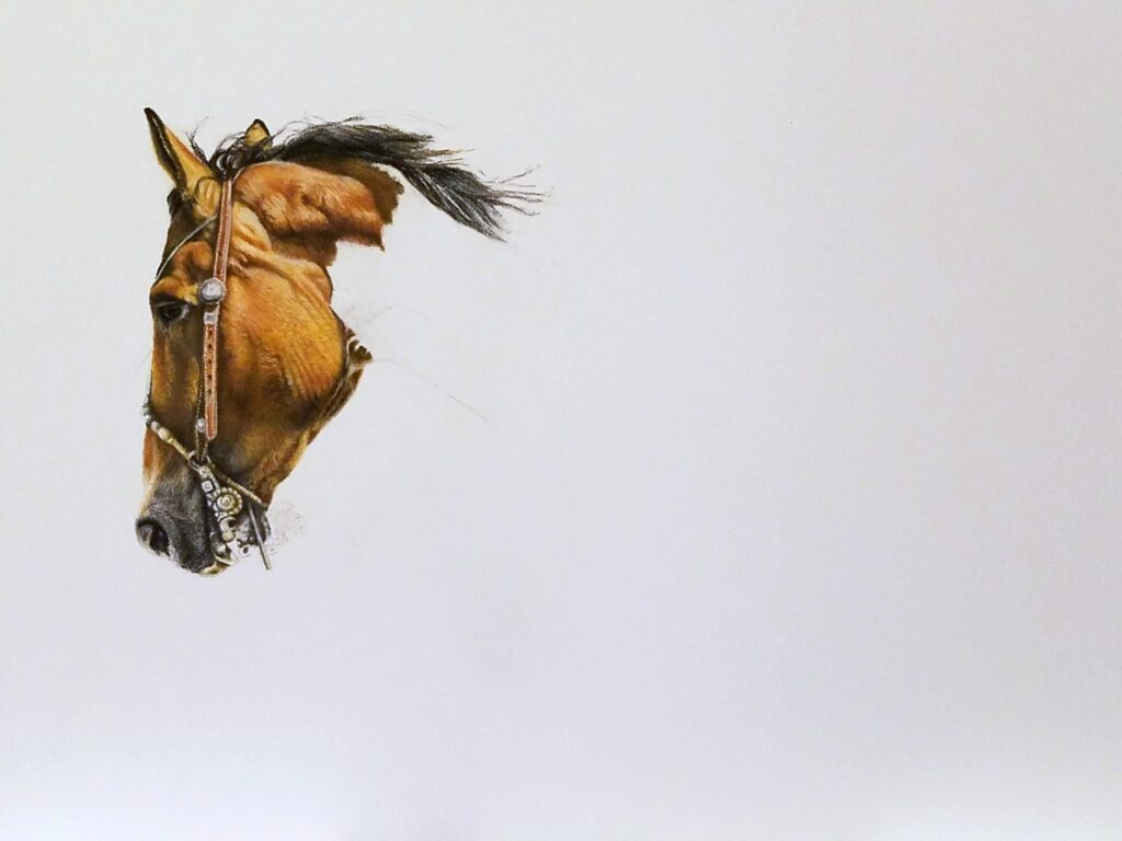 Horse Prairie Roundup – Horse Head Detail