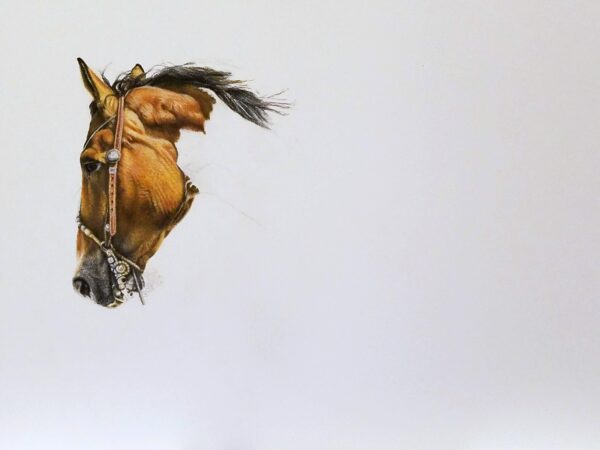 HORSE PRAIRIE ROUNDUP Original Pastel Painting by Barby Schacher - Image 4