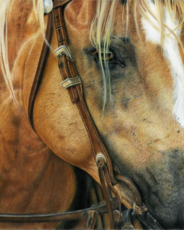 Detailed pastel of Palomino horse bridle and eye - collector's guide for western art